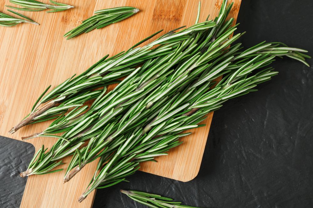 Cutting board with green rosemary on dark background, space for text