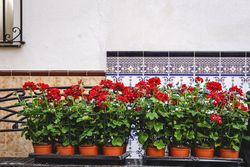 Typical Andalusian Spanish villages