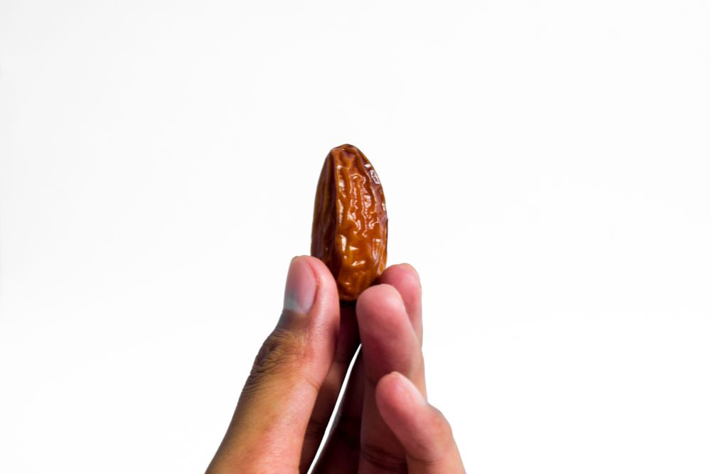 Hand hold date fruit on isolated plain background