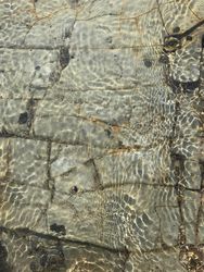 Ocean tide pool with gray-green rocks and water ripples