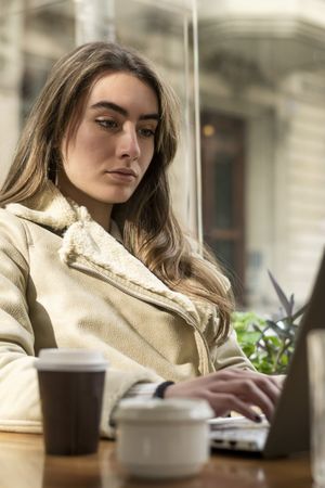 Young brunette using laptop in a cafe