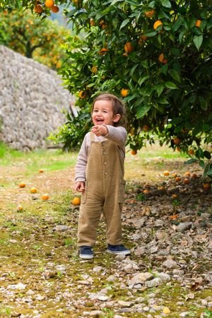 Happy boy showing with finger against orange tree