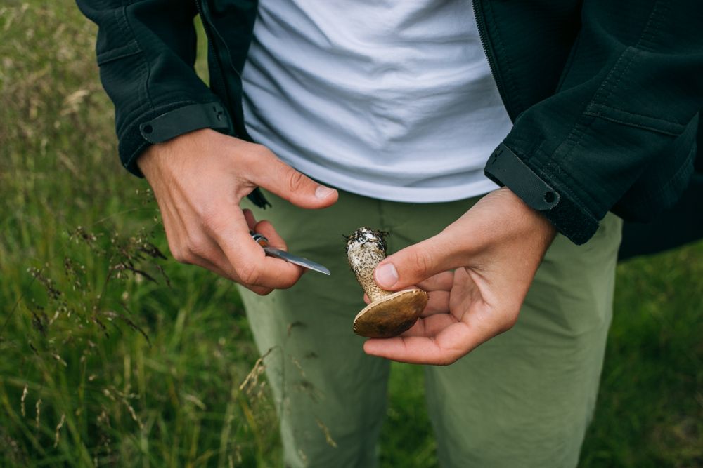Man with pocket knife and foraged mushroom