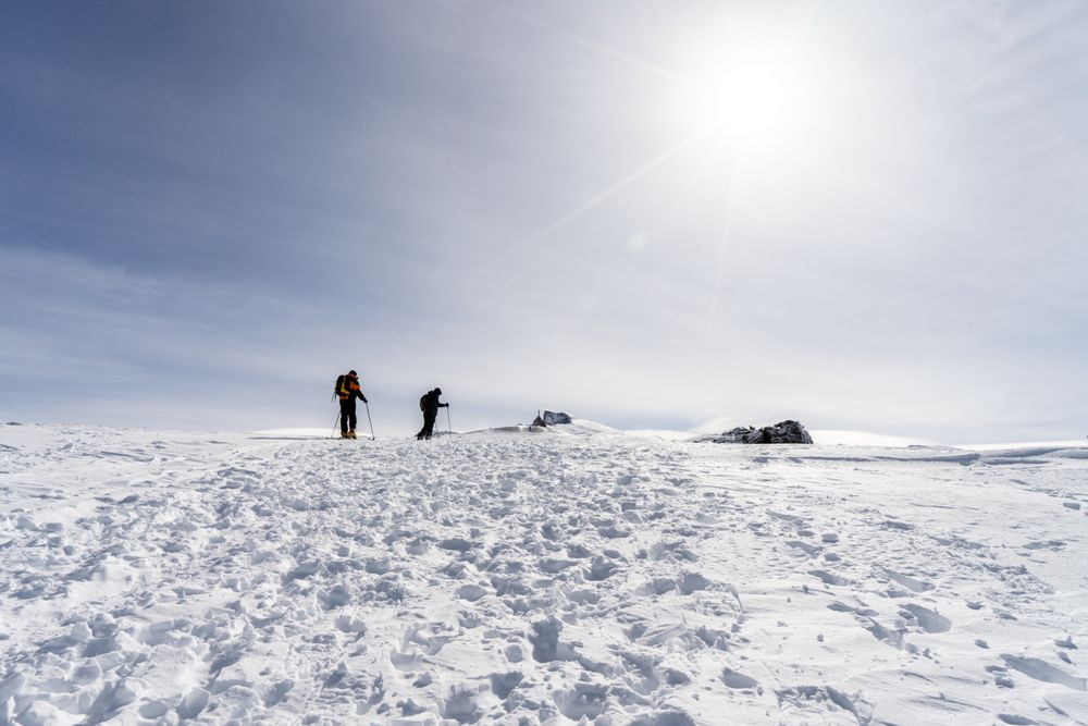 Two people doing cross-country skiing in Sierra Nevada