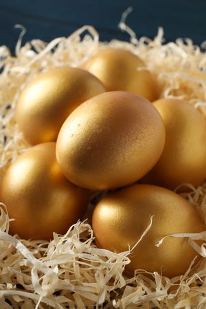 Golden eggs, pension savings, investments and retirement