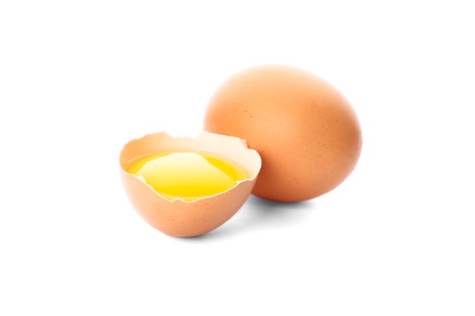 Chicken egg and half yolk isolated on blank background