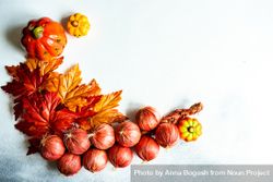 Colorful autumn leaves, braid of onions, and squash decorations with copy space 0WynO4