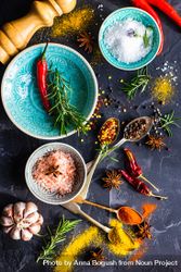 Spices, herbs and salt in teal bowls on counter with copy space 0v3X7G