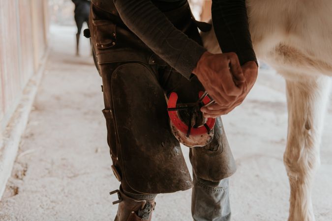 Crop blacksmith putting horseshoe on hoof