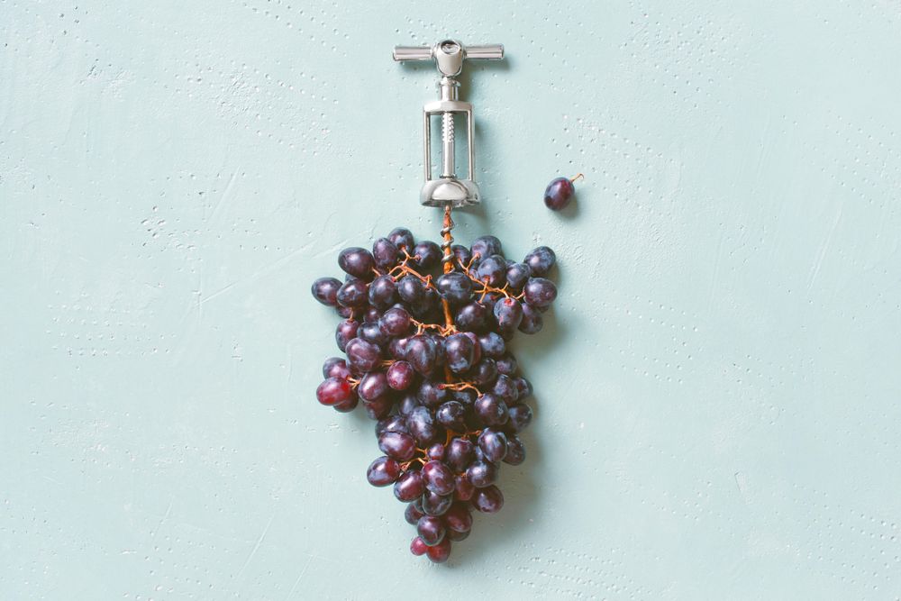 Natural wine production concept