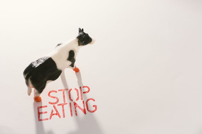 Slogan calling to stop eating animals