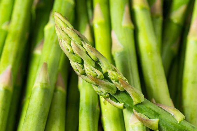 Raw Green Organic Asparagus Spears