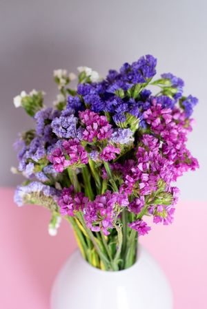 Multicolor sea lavender flowers bouquet