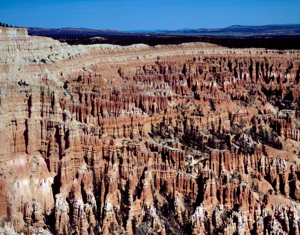 Procession of 'hoodoo' formations in Bryce Canyon National Park, Utah