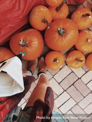 Cropped image of a woman standing in front of pile of orange pumpkins 5qBqY4
