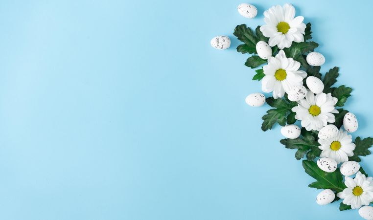 Daisies and Easter eggs on baby blue background