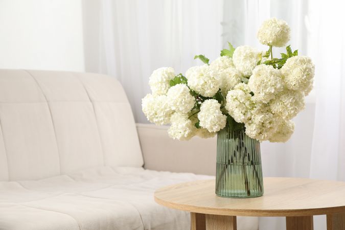 Composition with hydrangea flowers indoor. Spring plant