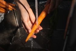 Crop woman hands washing carrot