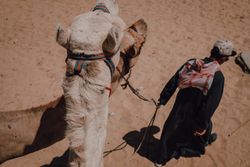Man and camel near Great Pyramids