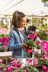 Positive Hispanic woman with dog in floral shop