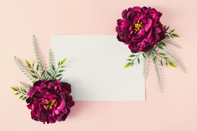 Two pink flowers on pastel pink background with light paper card