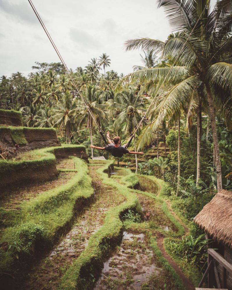 Man on swings above tropical plantation