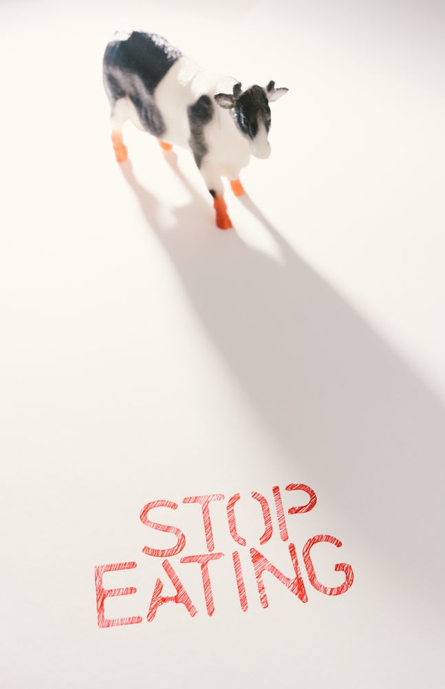 Slogan calling to stop eating animals