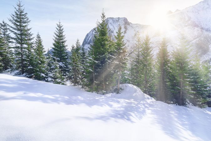 Sun rays through snowy mountains and trees