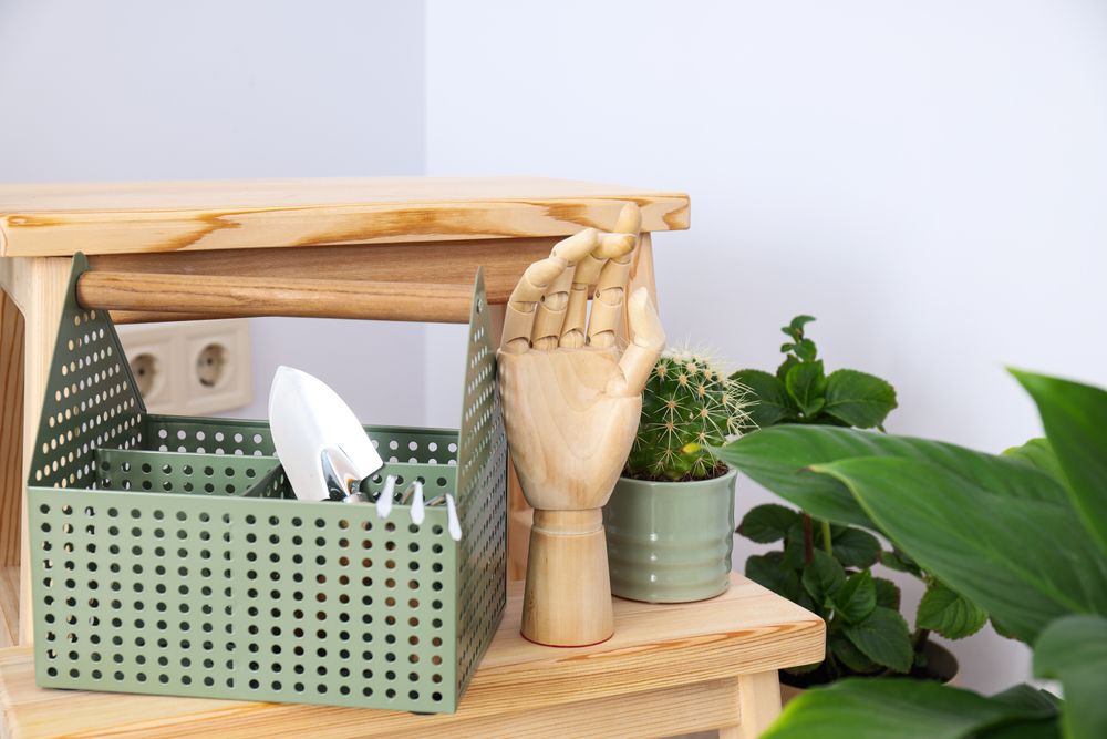 Cozy hobby - growing indoor plants at home