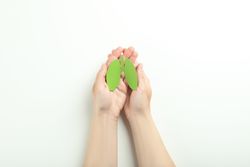 Small green lungs being held in hands