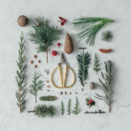Creative layout made of winter branches, on marble background with scissors