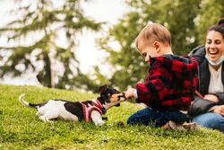baby boy playing with a little dog in a park