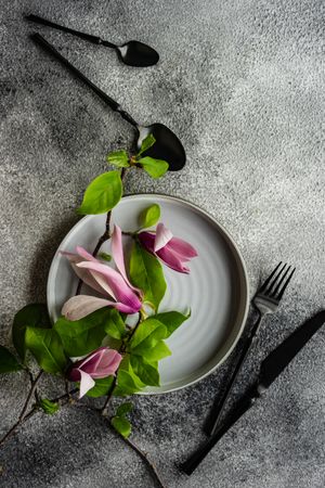 Top view of plate with magnolia flowers on grey background