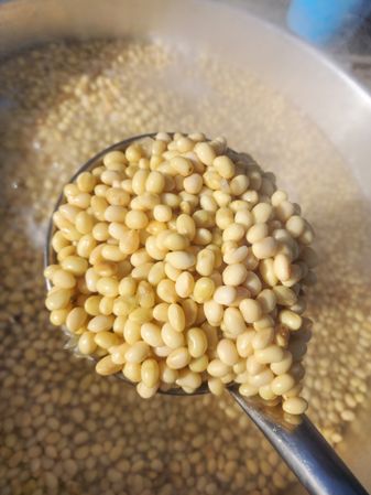 Boiling Yellow Soybeans in a Traditional Pot