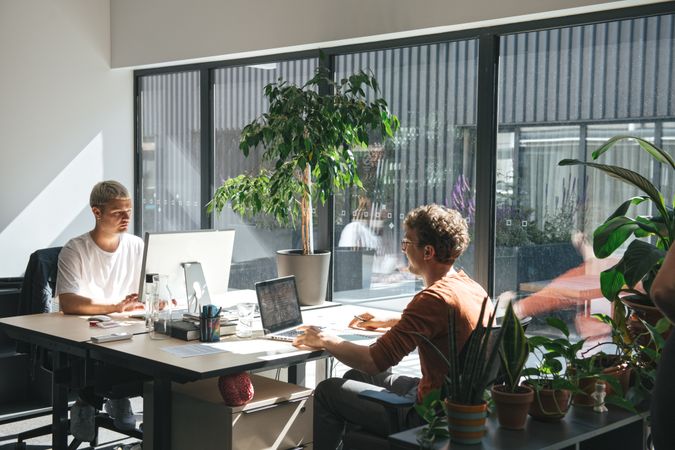 People working in sunny modern office