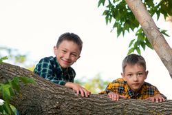 Happy young brothers together