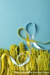 Arrangement of yellow flowers on blue background with ribbons 4dR7l0