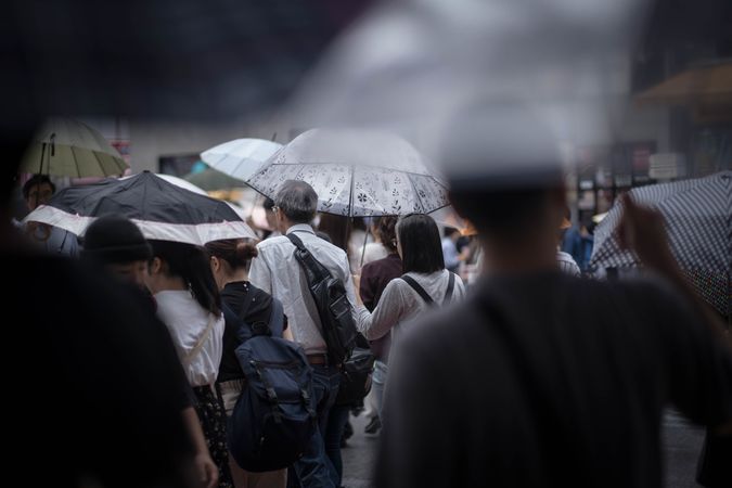 Back view of crowd of people holding umbrellas walking down the street in Japan