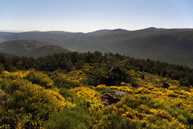 Picturesque landscape of green mountains in summer