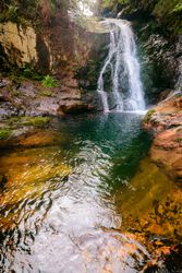 Small river and waterfall flowing in green dark beautiful forest.