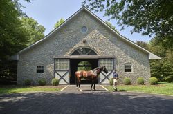 Handler Angel Castillo shows off the stallion at Ashford Stud, breeding farm in Versailles, Kentucky