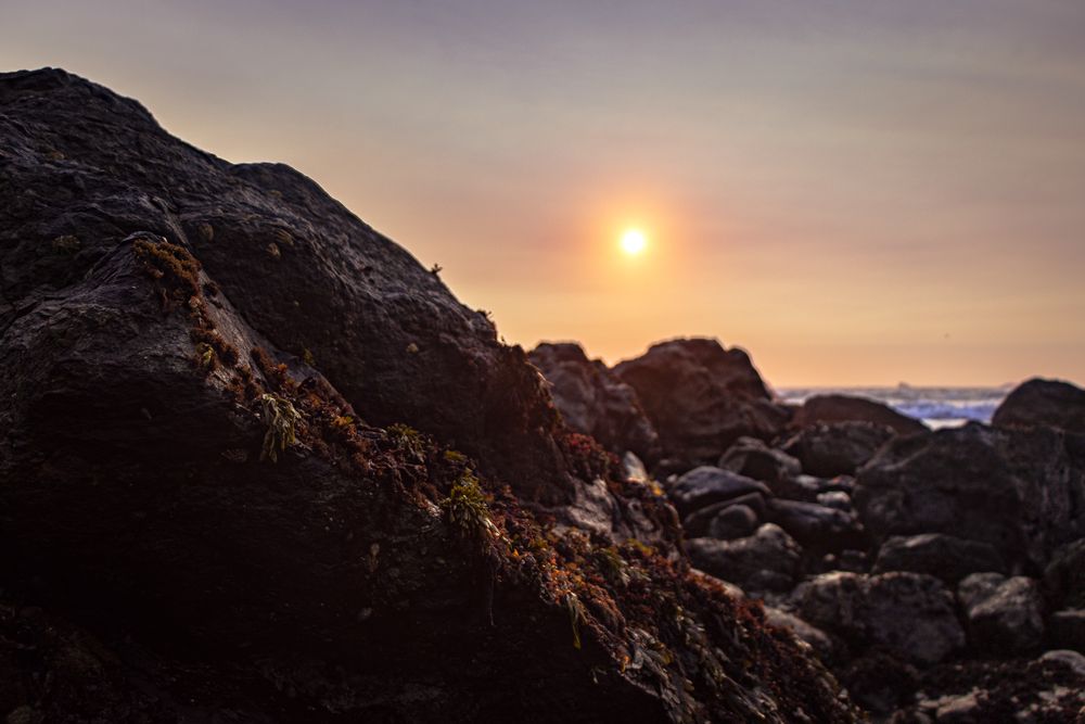 Close up of rocky tide pools near beach late afternoon