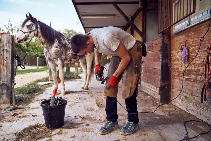 Blacksmith changing horseshoe to the leg of a horse using bald lime hammer pliers