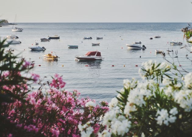 Yachts anchored in Mediterranean Sea seen from flowery hedge