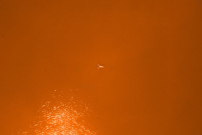 Far away aerial image of woman swimming in orange water
