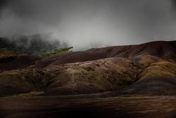 Shot looking up at hills in Mauritius on cloudy day