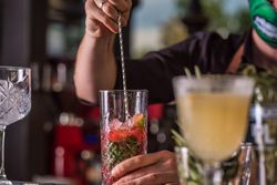 Bartender mixing a strawberry mojito cocktail 0gDBW5