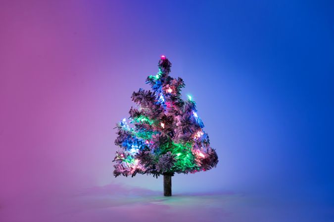 Christmas tree with festive lights on lit gradient blue to pink background