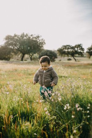 Happy toddler walking in a field
