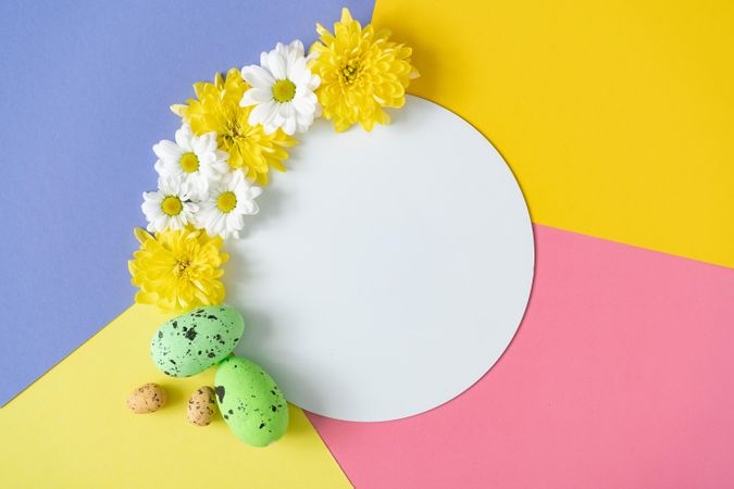 Yellow daisies and green Easter eggs on pastel background
